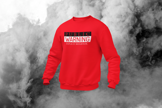 Public Warning Explicit Behavior Sweater